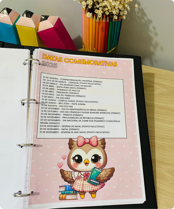 Planner Professor 2025, Planejamento Escolar, Organização Do professor, Educação Professor Organizado, Rotina De Ensino Planner Educacional, Produtividade Na Educação, Professor 2025, Material Pedagógico, Planner 2025, Agenda 2025 Planejador 2025, Organizador 2025, Calendário 2025, Agendamento 2025